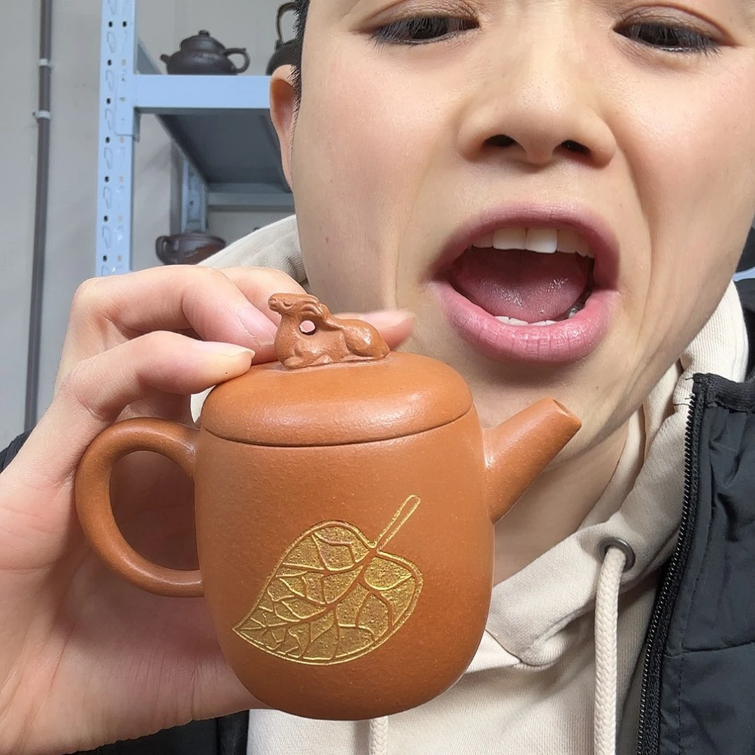 茶壶紫砂民间手艺人全手工制作