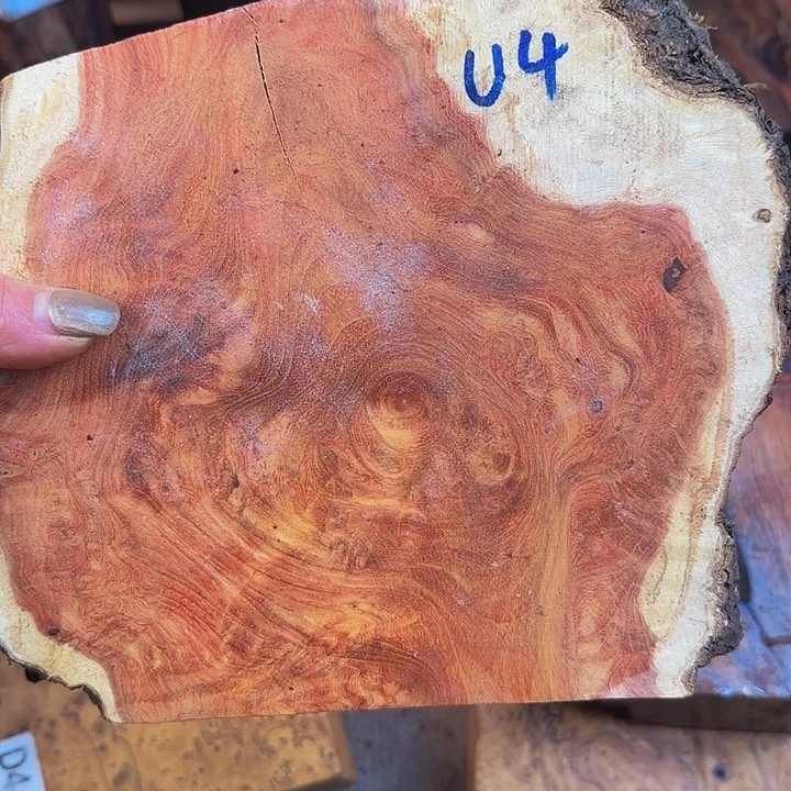 木&****✔小叶羊蹄甲瘤疤料子