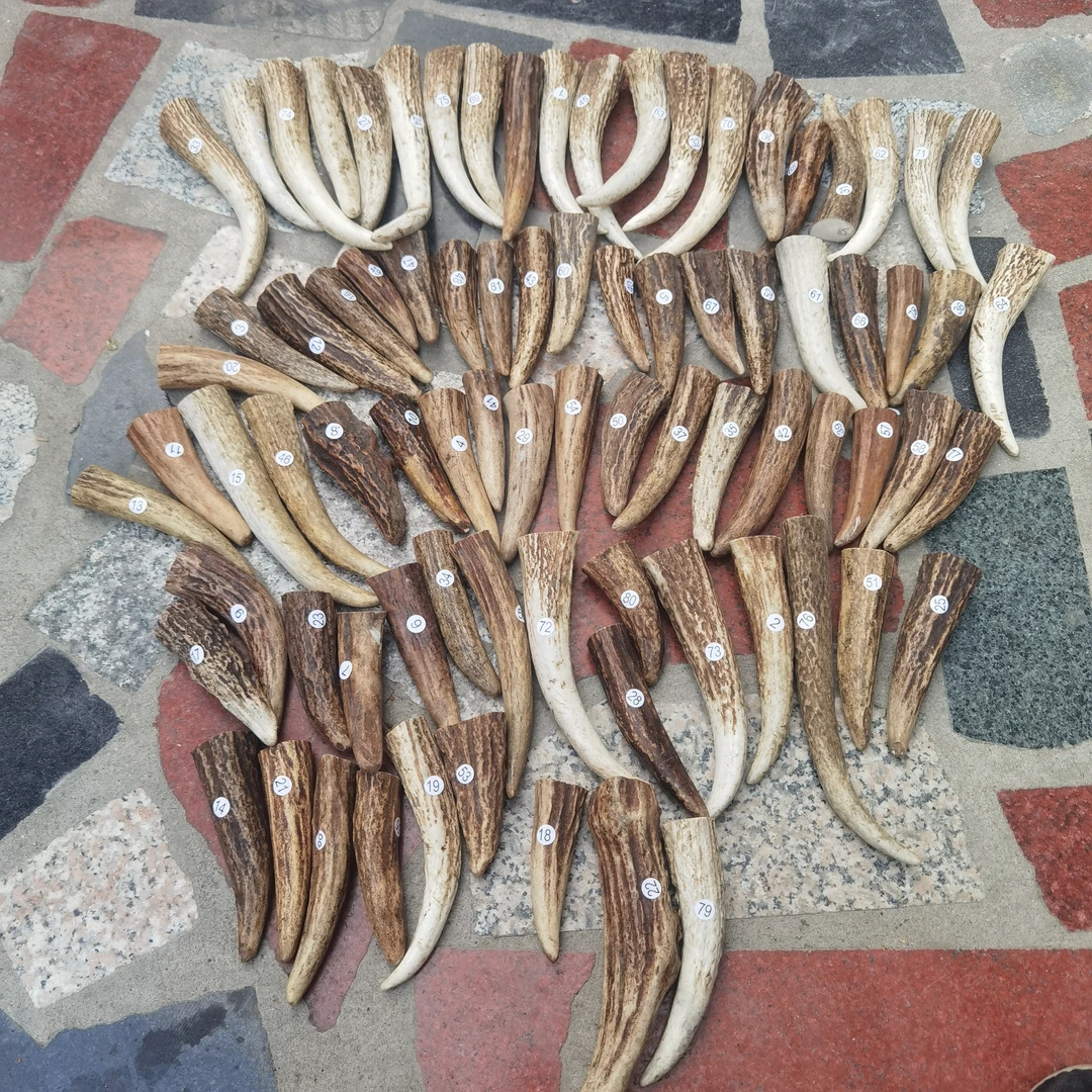 鹿角鹿角手把件根雕