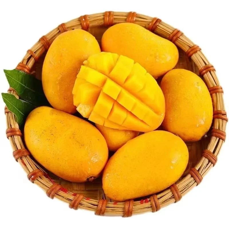 【小台芒到手约6斤】当季新鲜台农老树果小台芒皮薄肉厚爆甜多汁