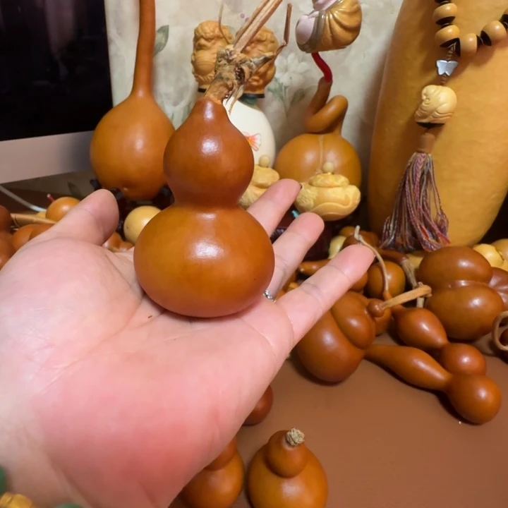 初****精品课程等课程教学和教学