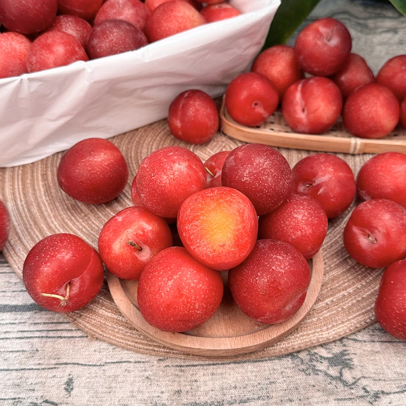 【乐鲜果园】智利樱桃李当季新鲜进口李子2斤-5斤装