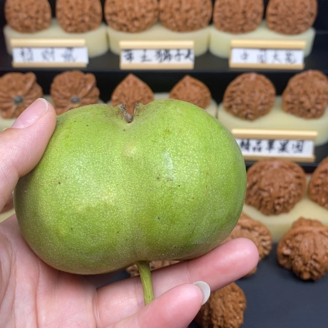 文玩核桃把件官帽半臂