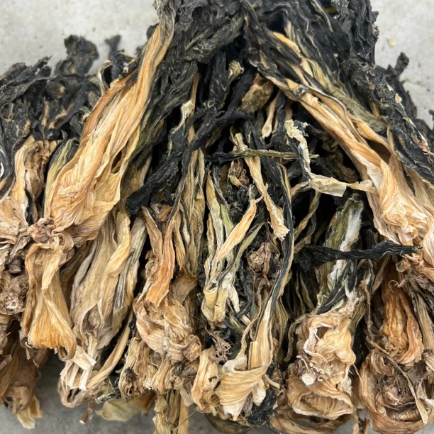 农家做的干菜梅干菜做包子炒鸡蛋煲汤