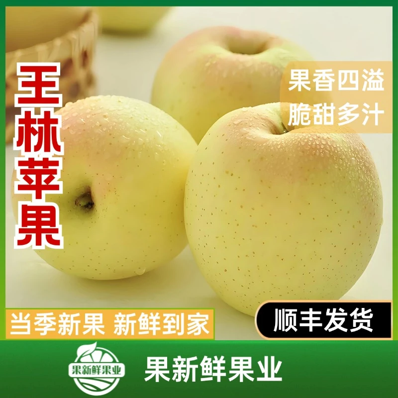 【雀斑美人王林苹果】（约3-3.5斤）果香四溢脆甜多汁新鲜应季顺丰包邮送货上门山东省
