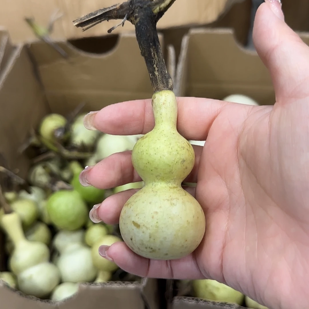 光***队葫芦v个化工厂该喝喝vv好滑稽