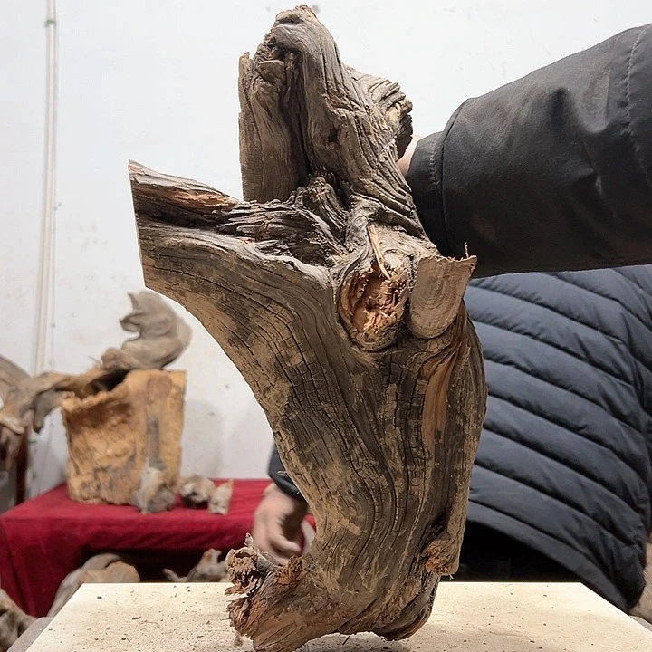 柏木天**～我们的生活也是如此