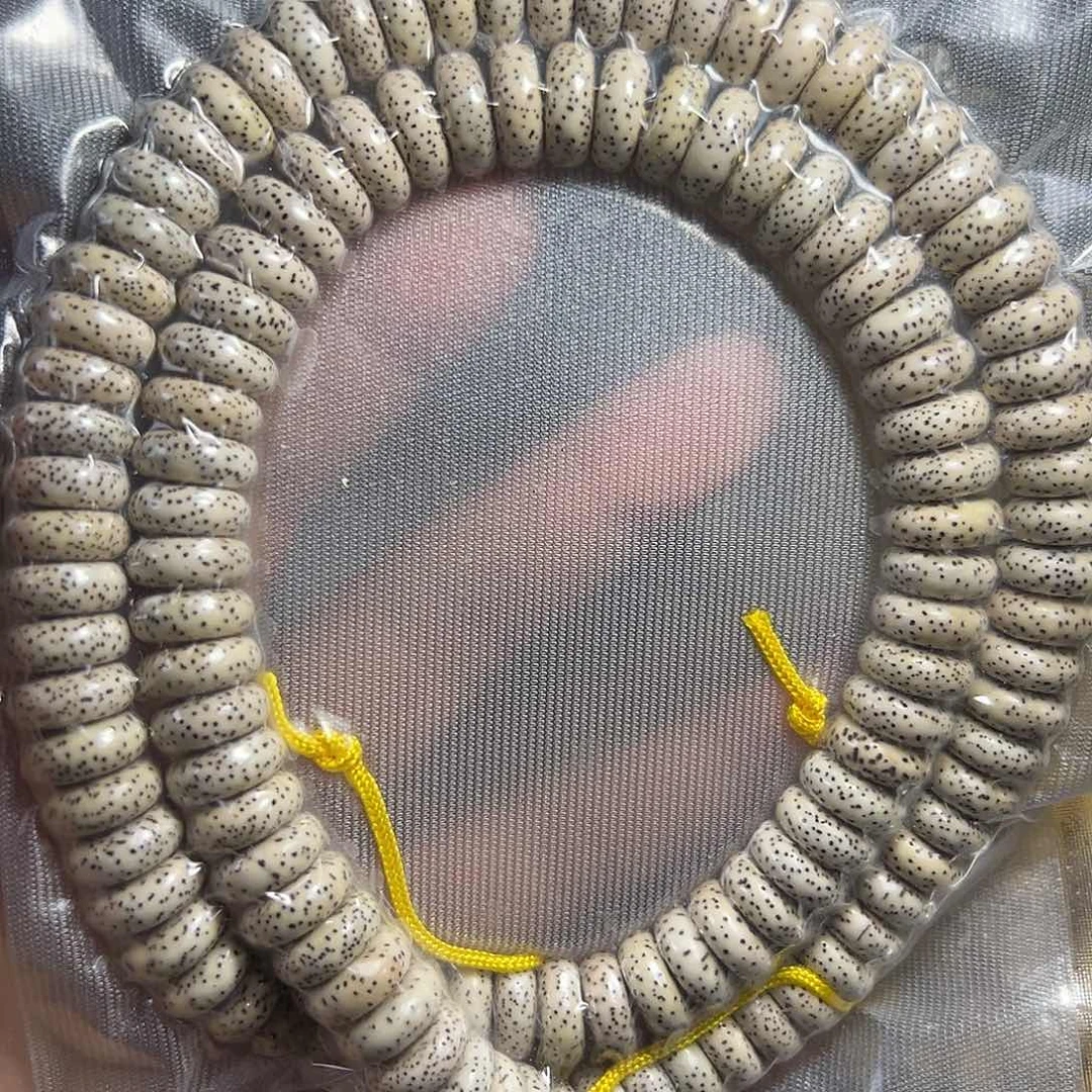 手串星月菩提星月菩提脱脂顺白