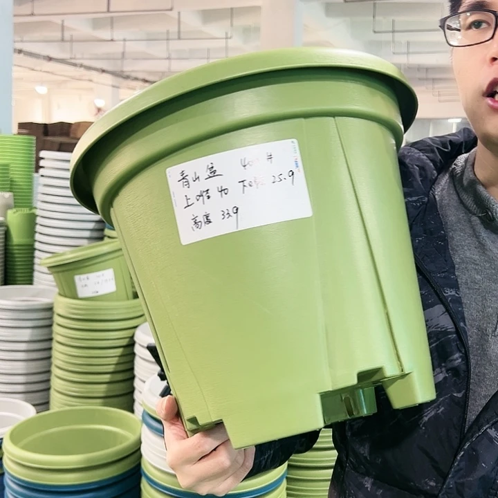 正品青山口40高34果绿无托5只