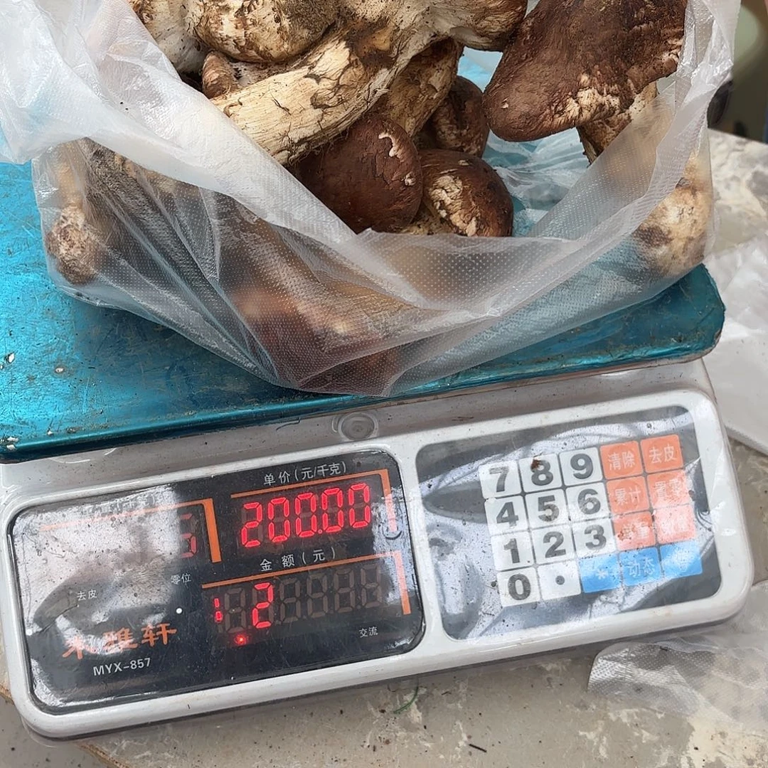 Y***M云南小表妹野生菌代购中国大陆