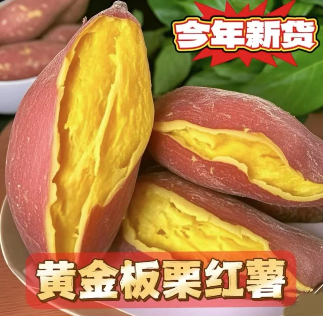 沙地黄金板栗红薯软糯香甜新鲜现挖番薯粗粮代餐红薯