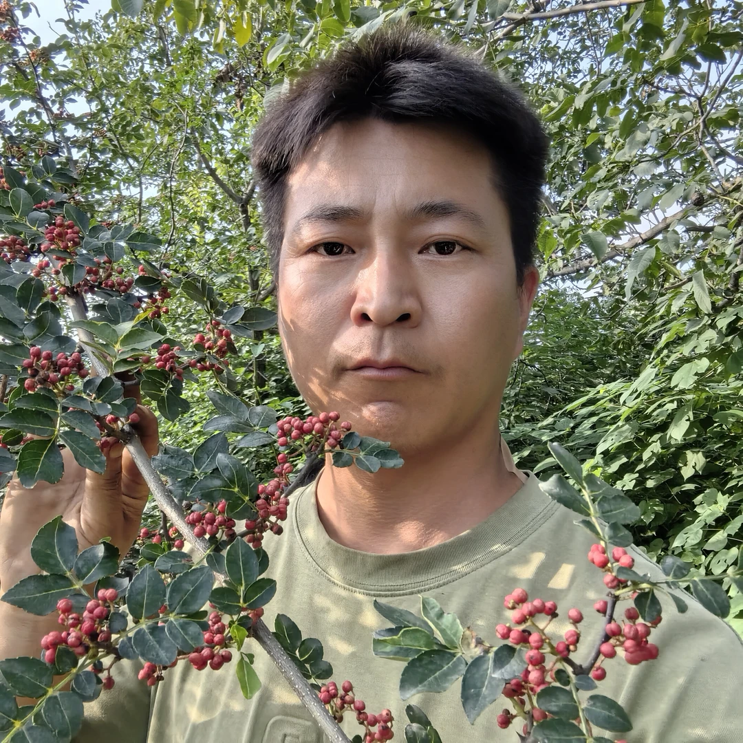 太行山毛椒颗粒椒农家严选特香手选大红袍红花椒调料直供包邮