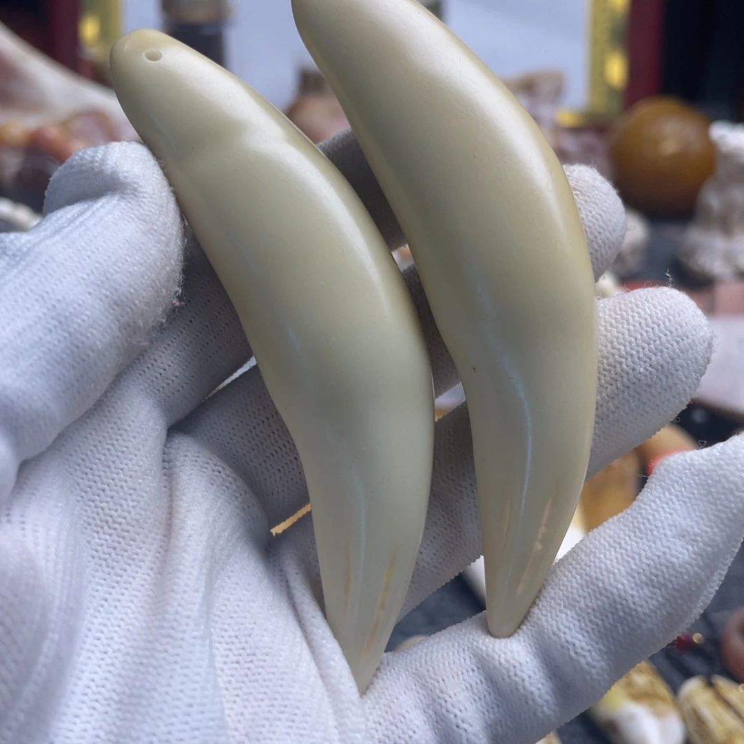安***）驼骨把件9大牙牙两颗