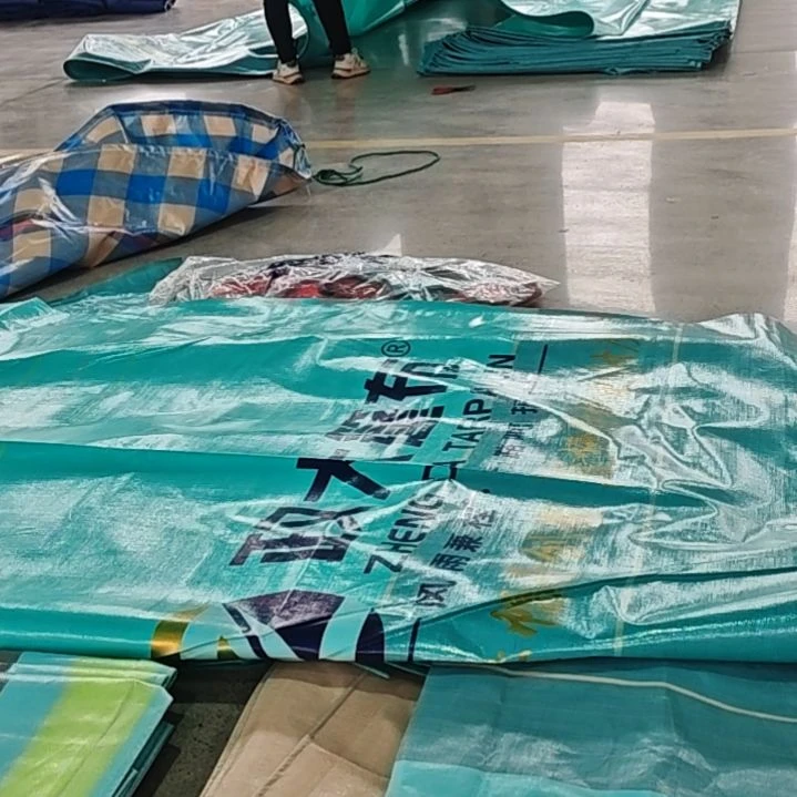 绒质环境监控噢噢噢哦哦鹅鹅鹅鹅鹅莫得的