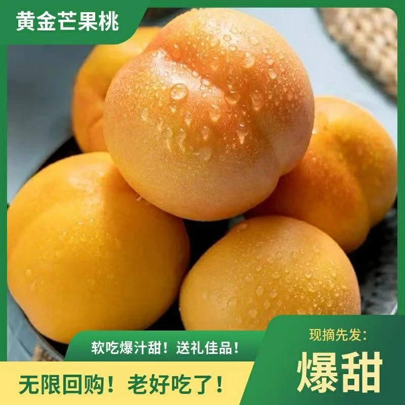 小耘乡头茬黄金芒果油桃当季新鲜水果软香甜桃孕妇整箱黄油桃