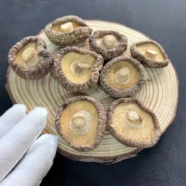 【拍一袋发三袋】香菇干货蘑菇菌菇冬菇肉厚无根煲汤食材香味清香