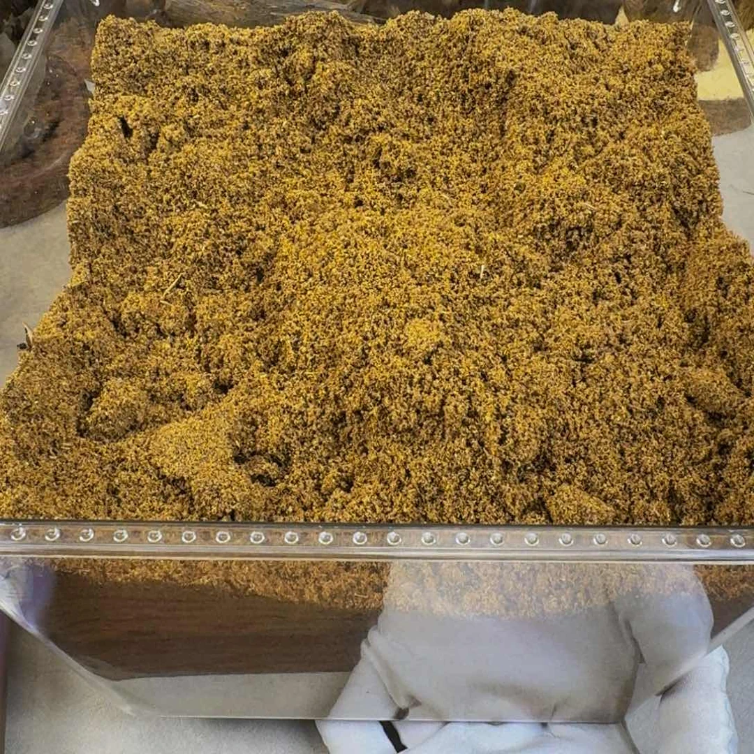 沉香沉香碎屑孙*海南莺歌绿奇楠99沉熏香粉500克