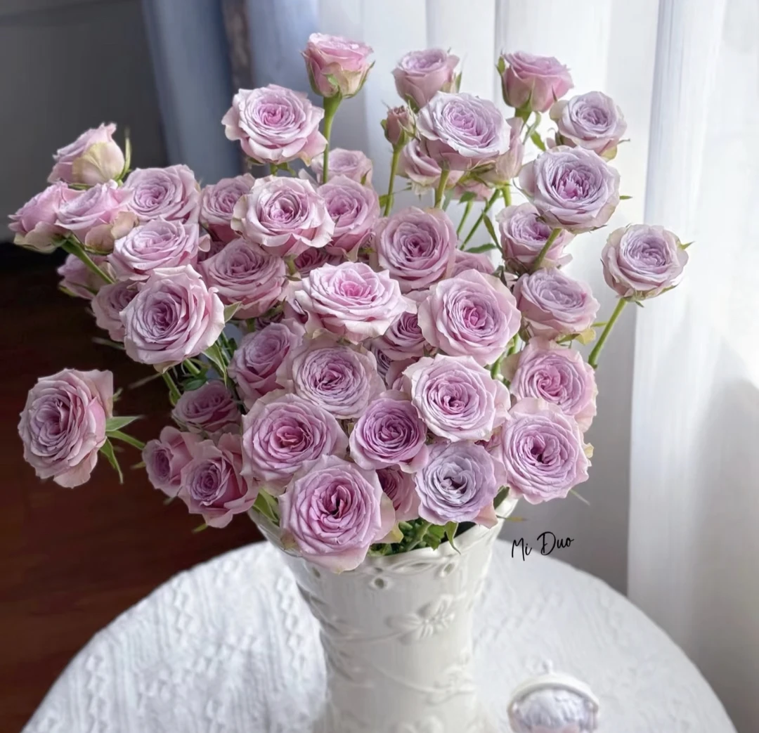 多头莱拉玫瑰8支+2支防损 鲜花任意两单包邮