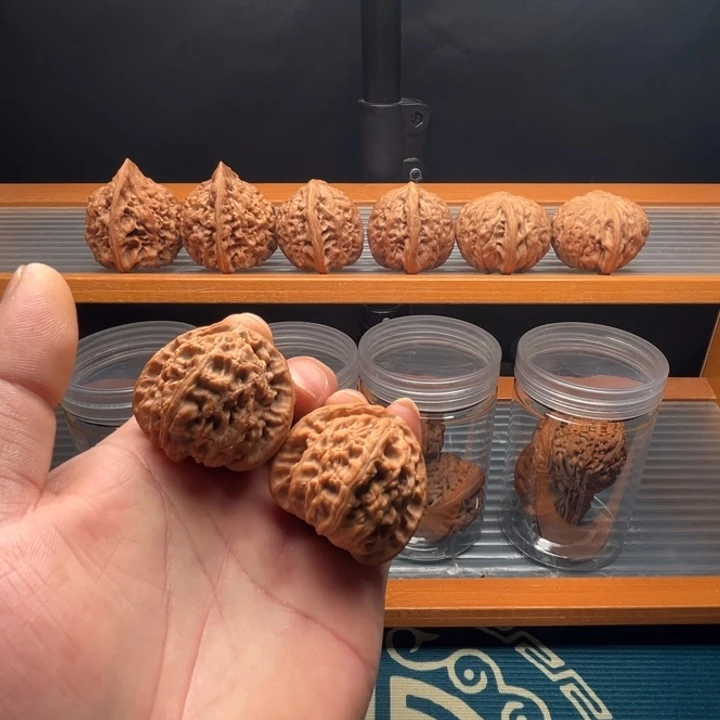 吊坠龙脊菩提全品39三角白一对。