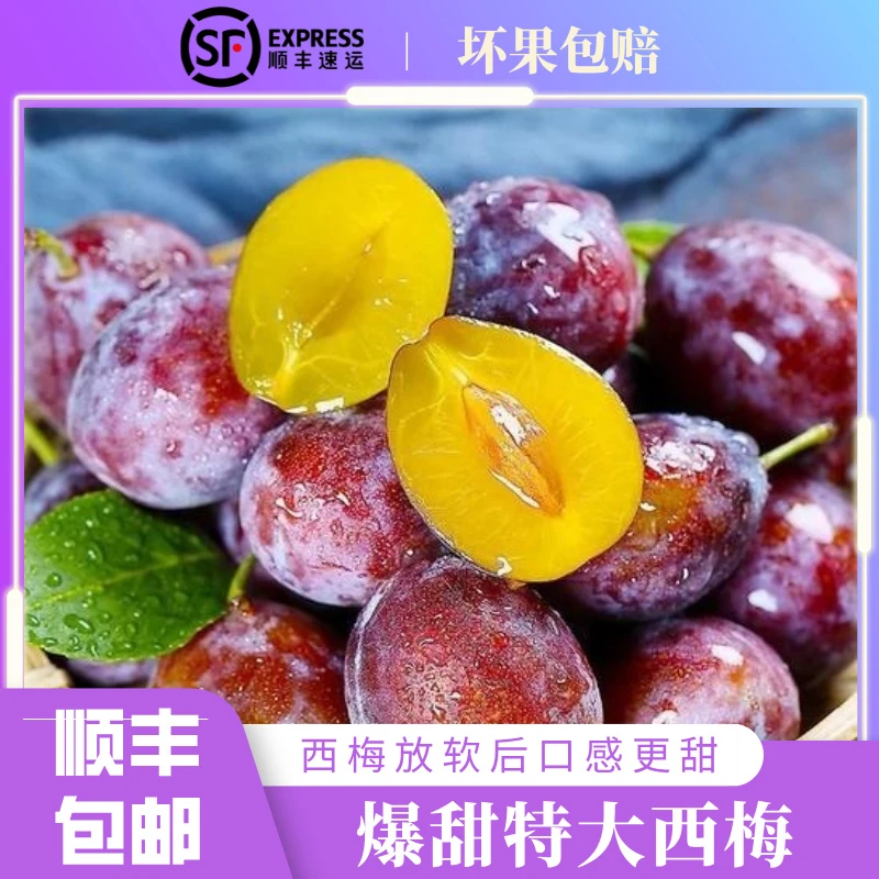【顺丰包邮】新鲜现摘西梅夏季水果汁水爆满孕妇鲜果放软纯甜包邮新疆维吾尔自治区
