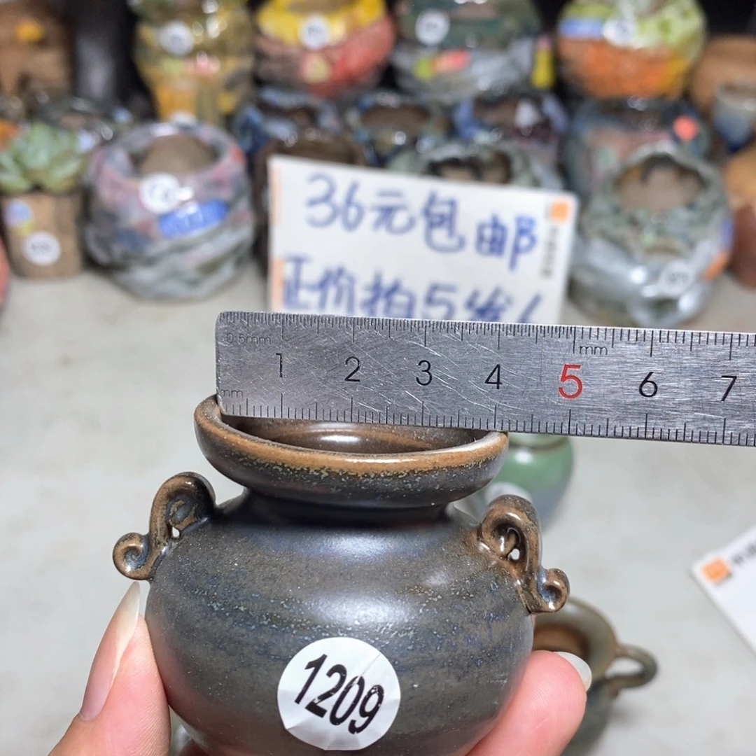 拍5送一个小礼物