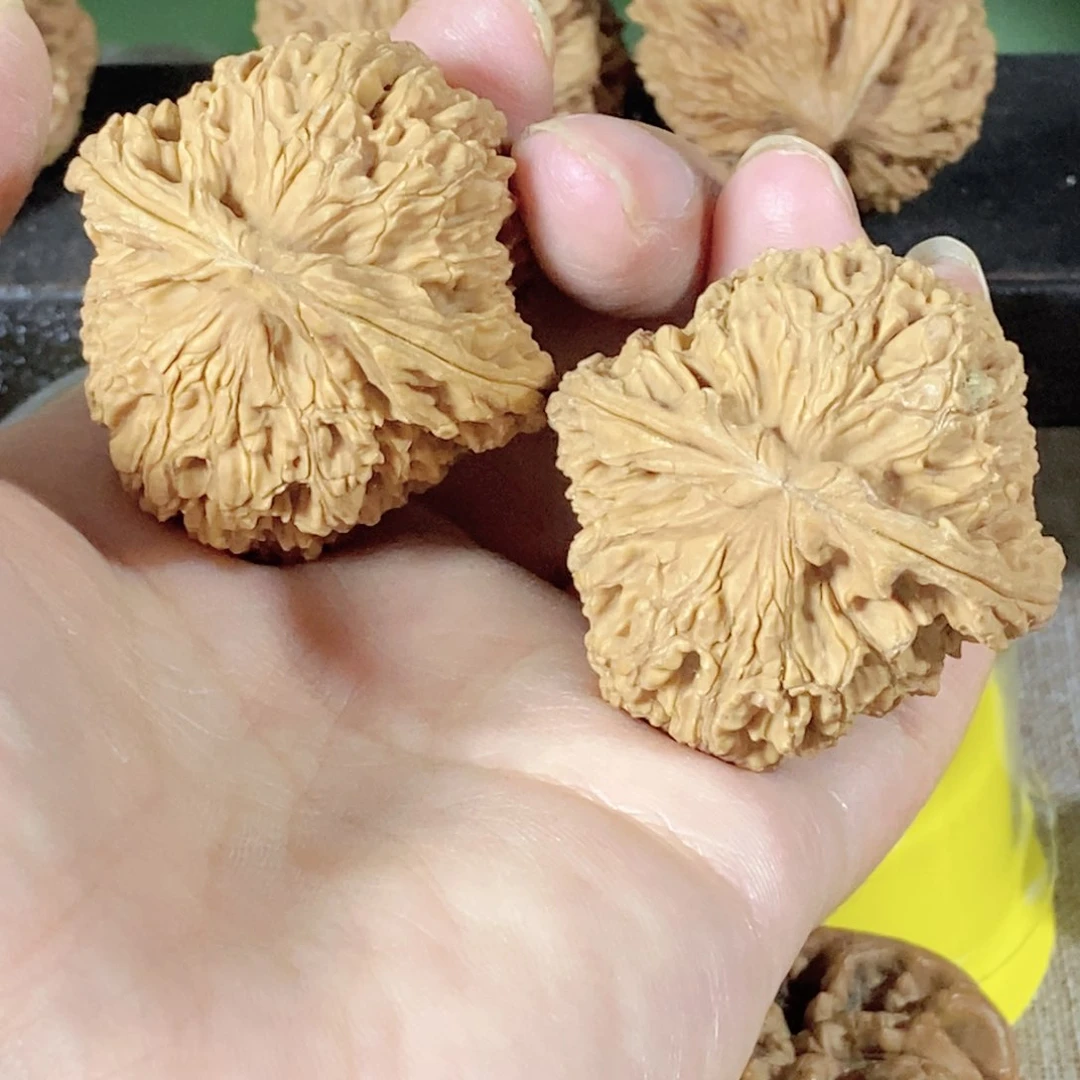 文玩核桃把件核****对今天