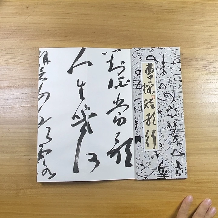 书法中书协会员作品