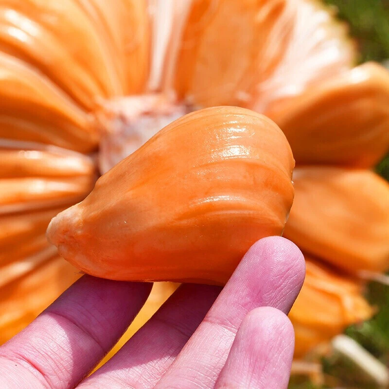 【精品印尼红肉切件】菠萝蜜鲜甜包厚热带新鲜应季水果包邮