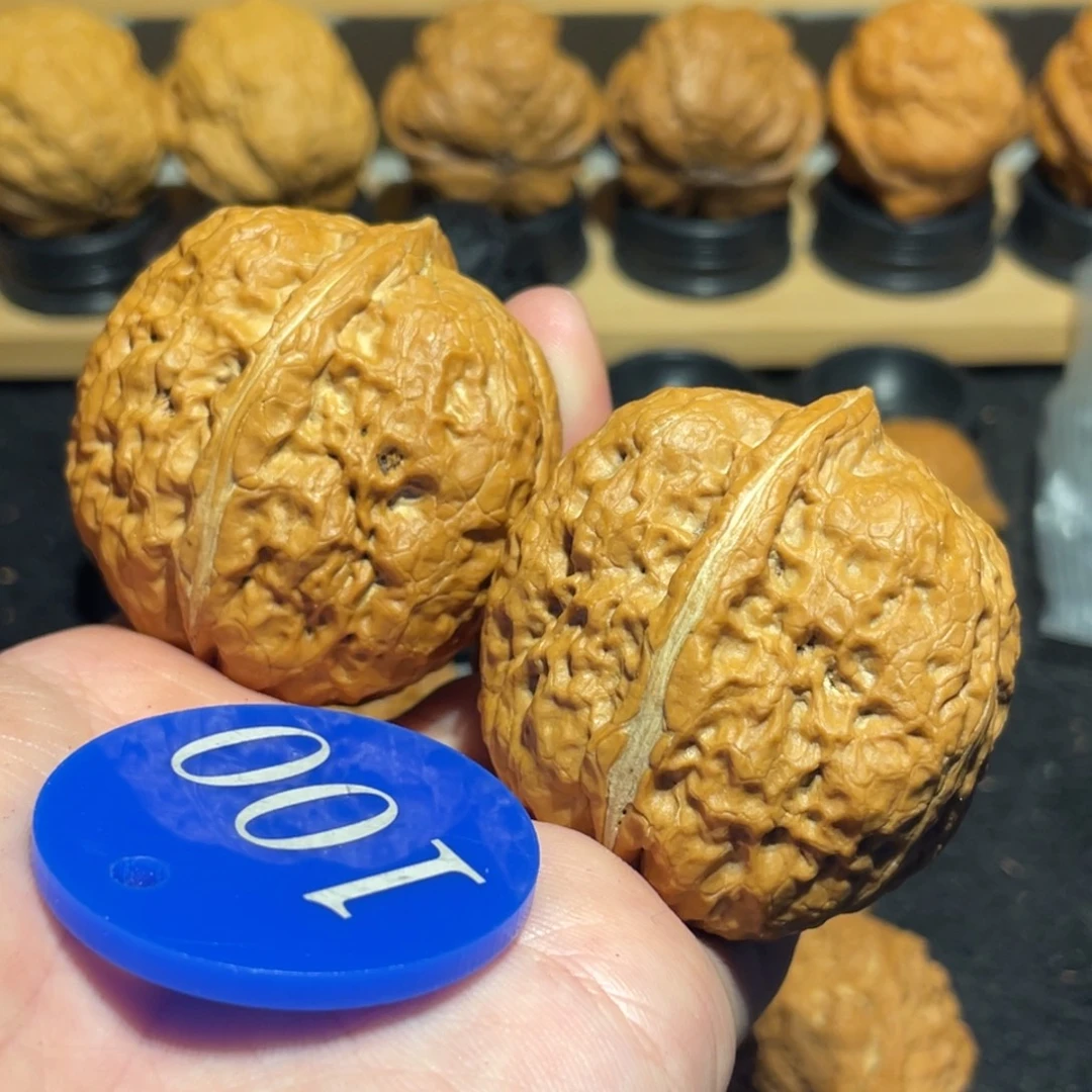 粗筋霸王龙核桃42