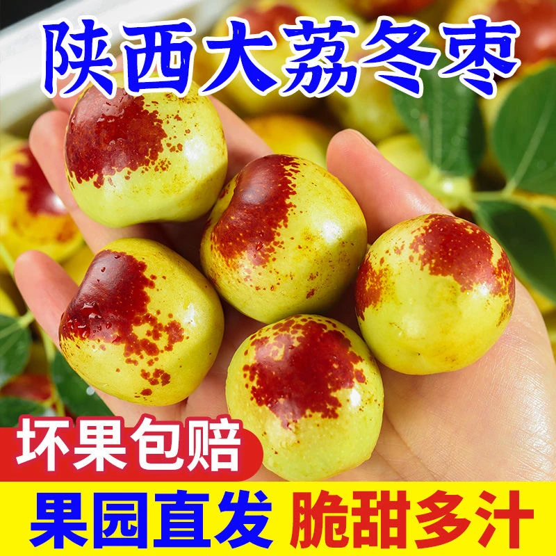 大荔冬枣果王一件5.5斤净重