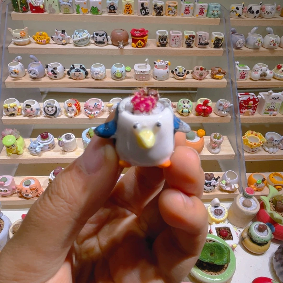 023肋骨牡丹锦带盆土一套38