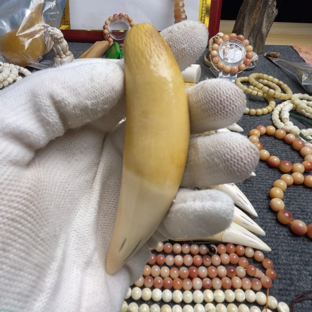 平***峰吊坠驼骨11➕黄牙牙