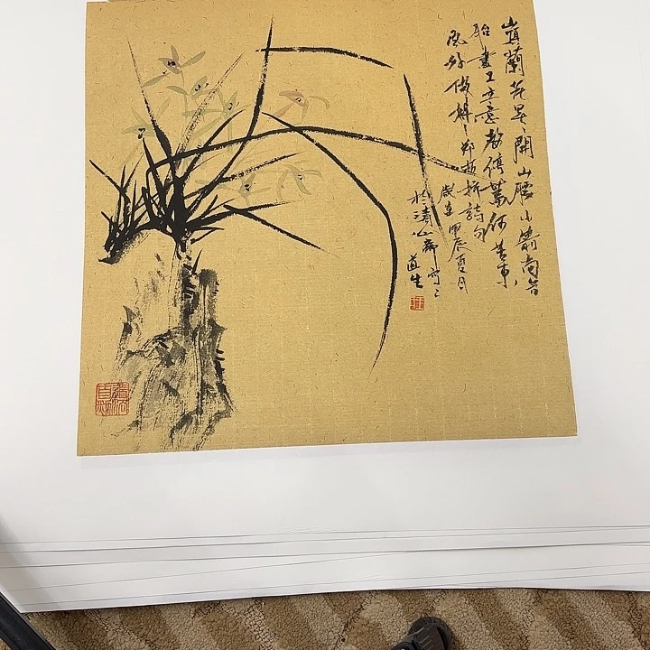 国画花鸟的翅膀和翅膀是白色的羽毛