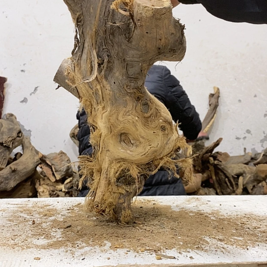 【闪购商品】柏木小**伟我们都是好孩子