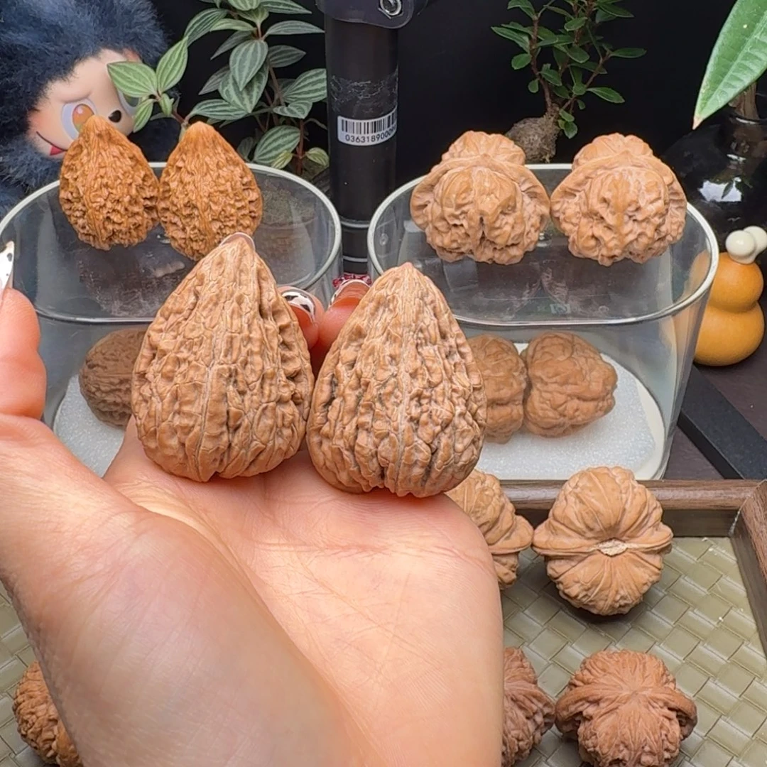 龙脊菩提把件全品原树正版坐佛34