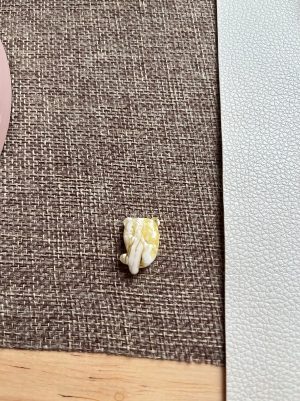 金漆白溶洞雕刻件小熊