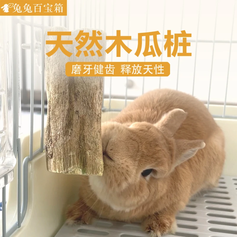 木瓜树桩兔子磨牙天然零食大号固定款可固定在笼子内小号不固定