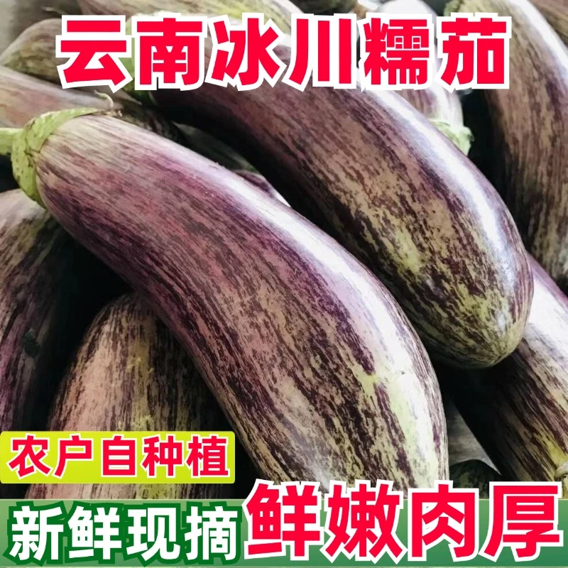 冰川茄子云南西双版纳老品种面包茄糯茄新鲜蔬菜