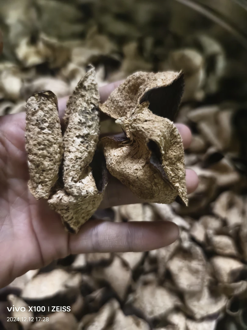 新会陈皮百宝链接（有整有断直播间为准）