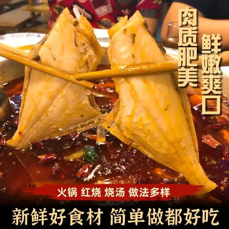 耗儿鱼新鲜速冻特大马面鱼扒皮鱼火锅食材200g