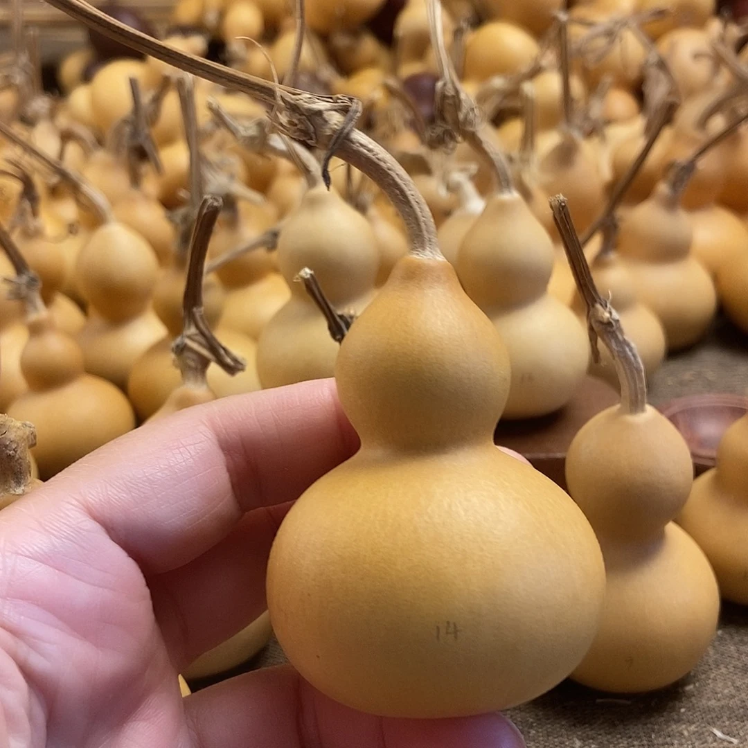 文玩葫芦 完美主义者 慎拍14