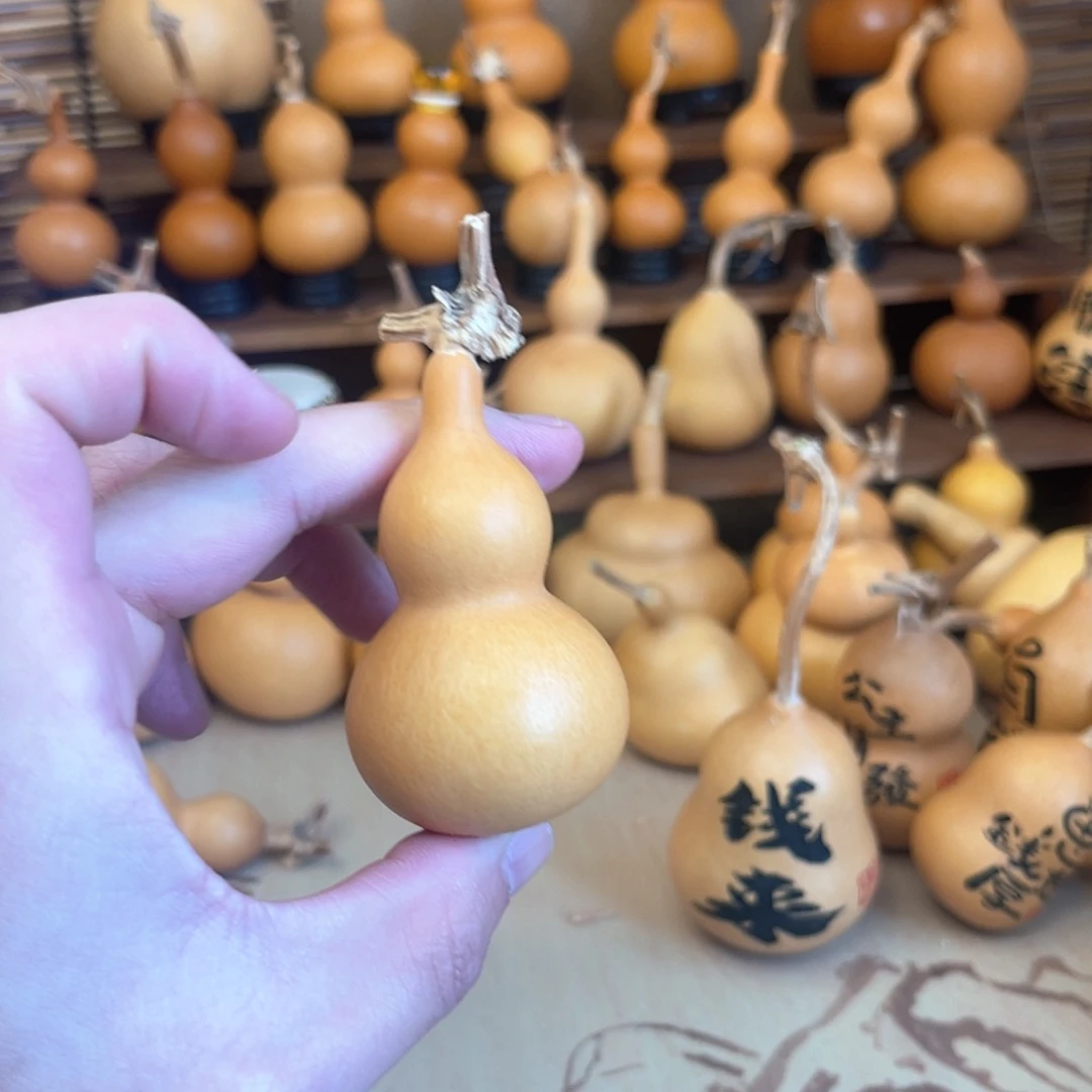 小天津嘴厚皮响籽5