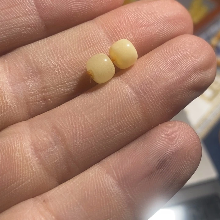 琥珀未镶嵌颈饰老型手串