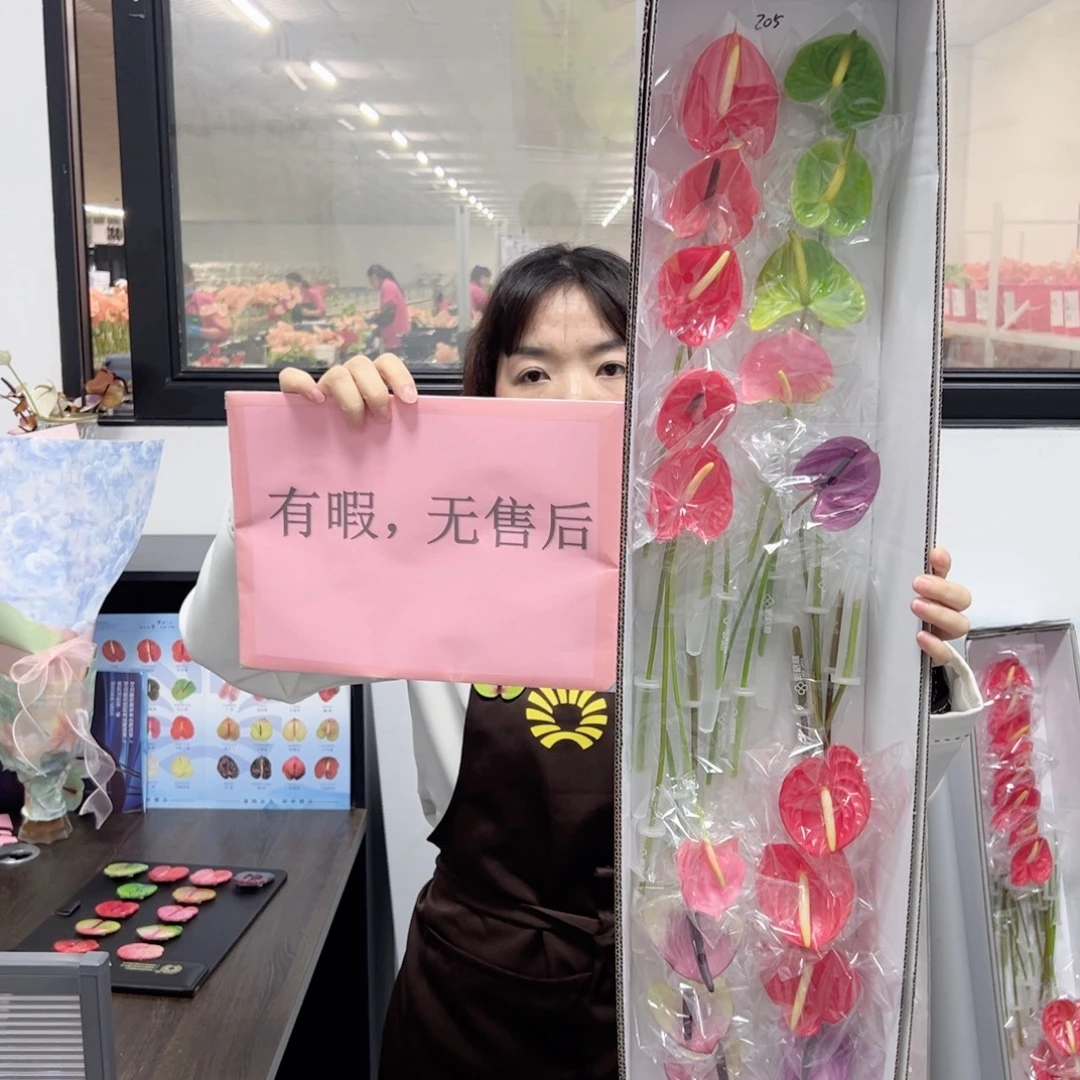 完全开放混色-20枝装无售后款205