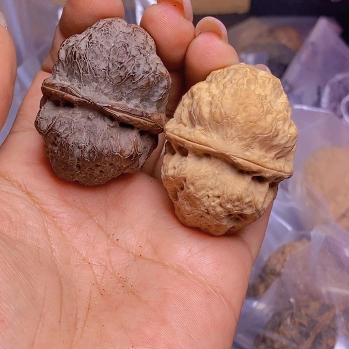 把件文玩核桃55-43mm