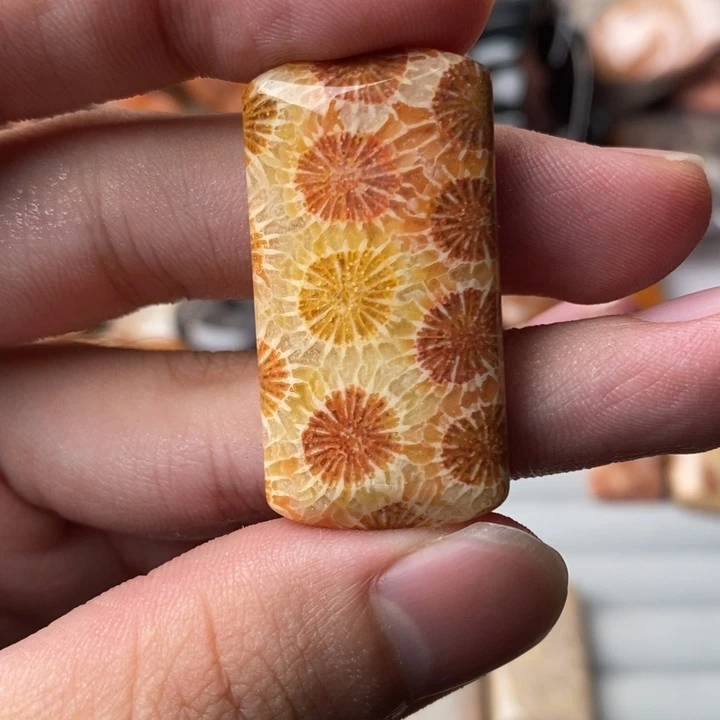 拙***茁硅化玉未镶嵌珊瑚玉