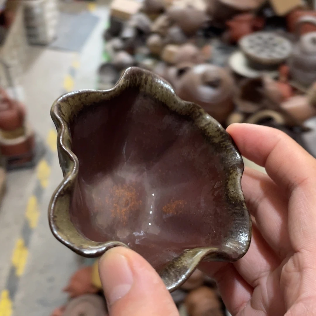 瓷片侧重研究各种疾病及其预防控制