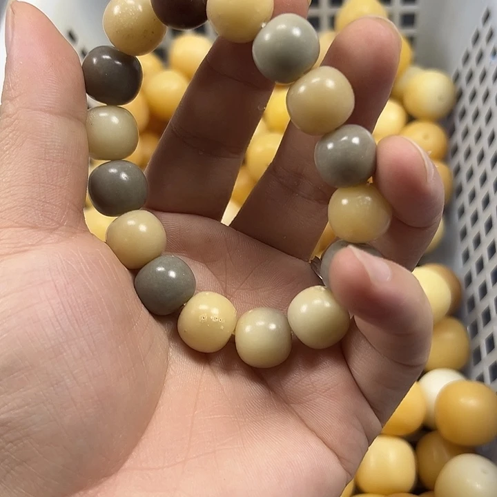 吊坠菩提根/象牙果