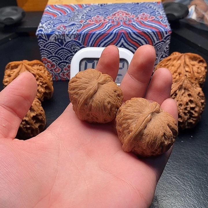 风格哈哈哈哈哈哈
