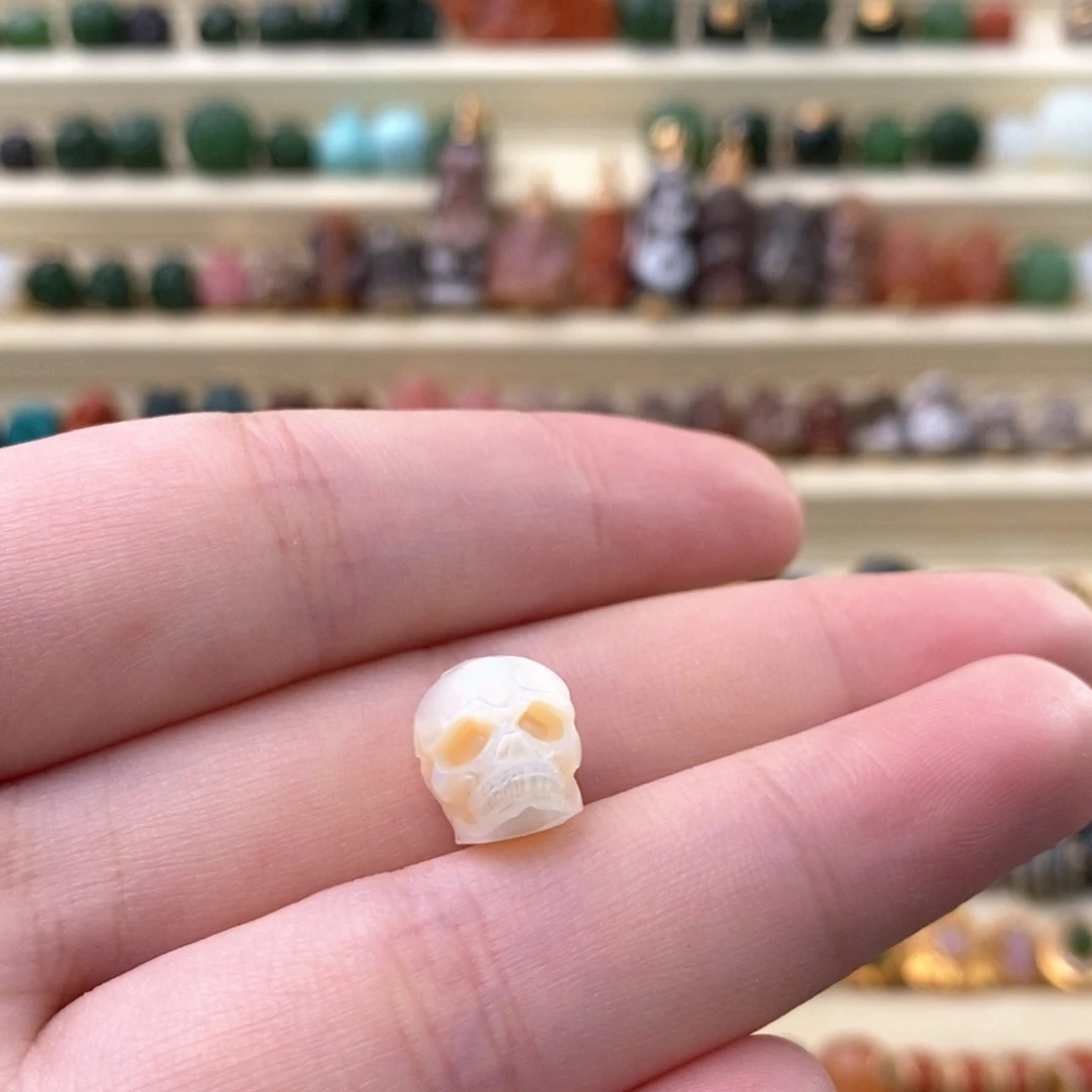 颈饰未镶嵌淡水珍珠